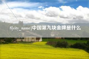 郑州中国第九块金牌是什么