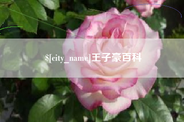 郑州王子豪百科