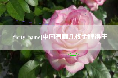 郑州中国有哪几枚金牌得主