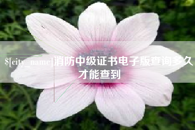 郑州消防中级证书电子版查询多久才能查到