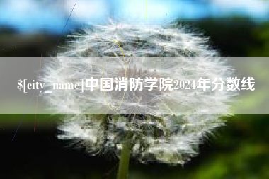 郑州中国消防学院2024年分数线