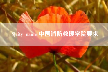 郑州中国消防救援学院要求