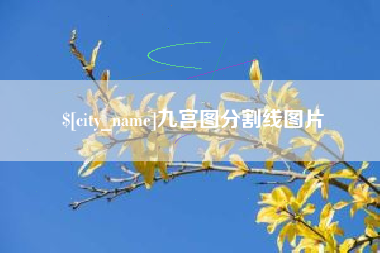 郑州九宫图分割线图片