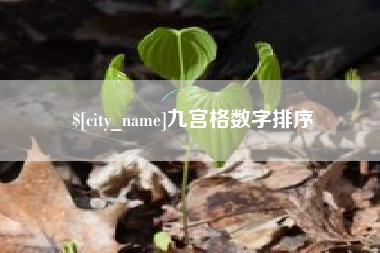 郑州九宫格数字排序