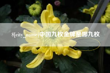 郑州中国九枚金牌是哪九枚