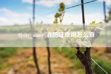 郑州消防证查询怎么查