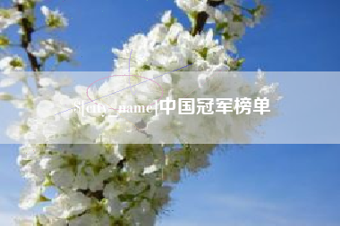 郑州中国冠军榜单