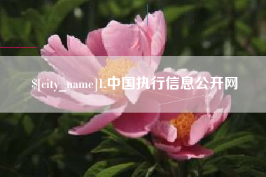 郑州1.中国执行信息公开网