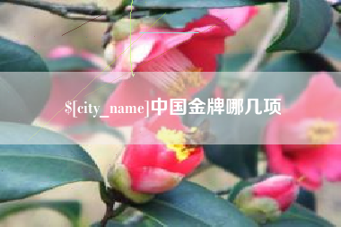 郑州中国金牌哪几项