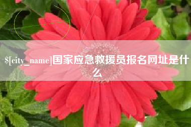 郑州国家应急救援员报名网址是什么