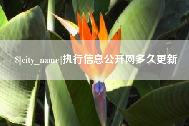 郑州执行信息公开网多久更新