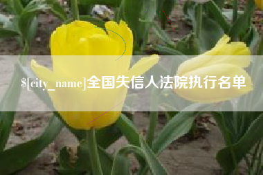 郑州全国失信人法院执行名单
