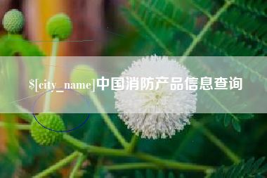 郑州中国消防产品信息查询