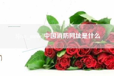 郑州中国消防网址是什么