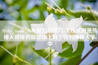 郑州60米接力赛技巧-下压式则是传棒人将棒的前部由上向下传到接棒人手中