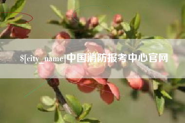 郑州中国消防报考中心官网