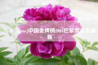 郑州中国金牌榜2024巴黎奥运会最新
