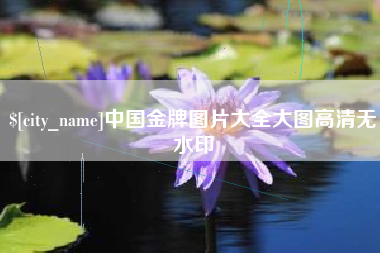郑州中国金牌图片大全大图高清无水印