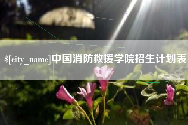 郑州中国消防救援学院招生计划表