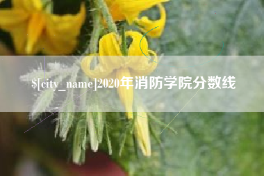 郑州2020年消防学院分数线