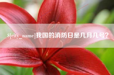 郑州我国的消防日是几月几号？