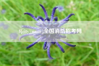 郑州全国消防招考网