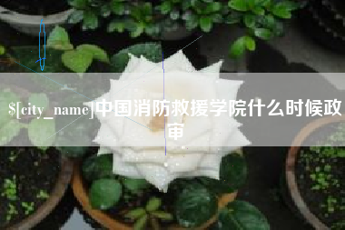 郑州中国消防救援学院什么时候政审