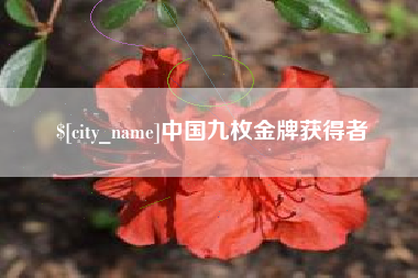 郑州中国九枚金牌获得者