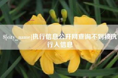 郑州执行信息公开网查询不到被执行人信息
