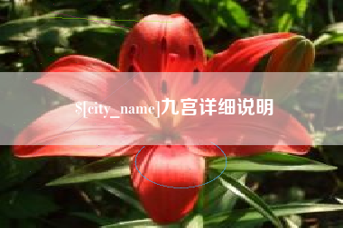 郑州九宫详细说明