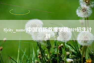 郑州中国消防救援学院2019招生计划