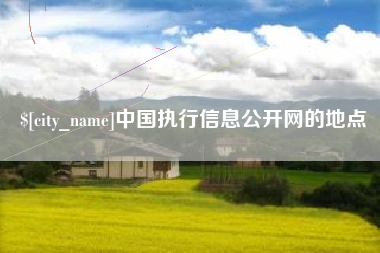 郑州中国执行信息公开网的地点