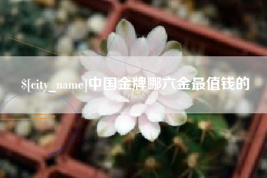 郑州中国金牌哪六金最值钱的