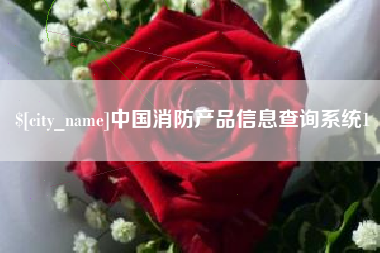 郑州中国消防产品信息查询系统1