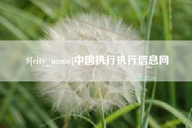 郑州中国执行执行信息网