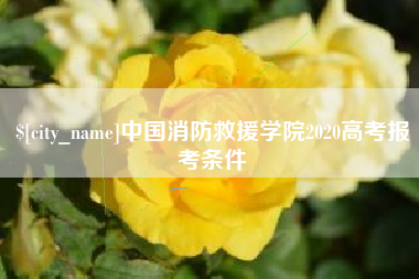 郑州中国消防救援学院2020高考报考条件