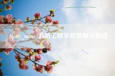 郑州消防工程学校录取分数线