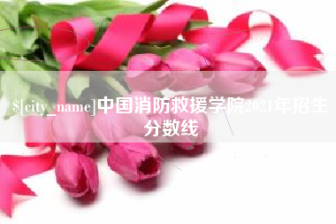 郑州中国消防救援学院2021年招生分数线