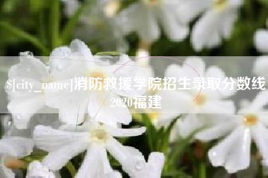 郑州消防救援学院招生录取分数线2020福建