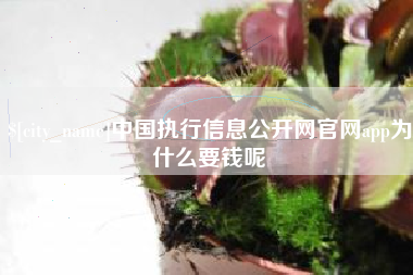 郑州中国执行信息公开网官网app为什么要钱呢