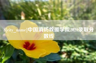 郑州中国消防救援学院2021录取分数线