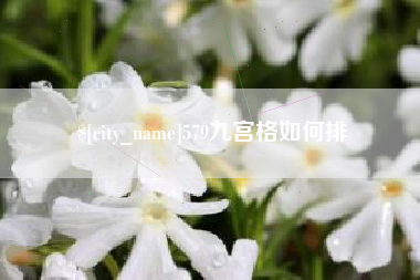 郑州579九宫格如何排