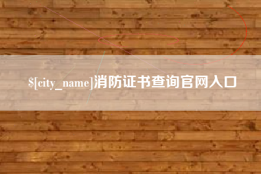 郑州消防证书查询官网入口