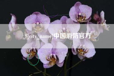 郑州中国消防官方