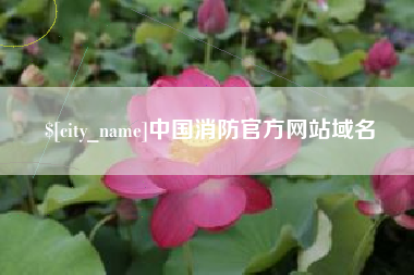 郑州中国消防官方网站域名