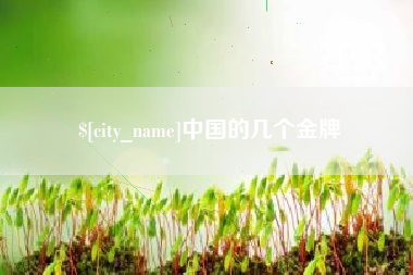 郑州中国的几个金牌