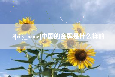 郑州中国的金牌是什么样的