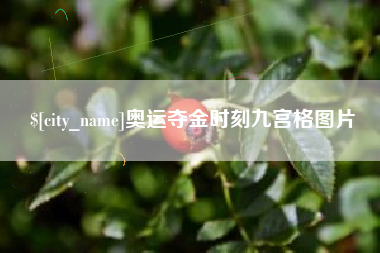 郑州奥运夺金时刻九宫格图片