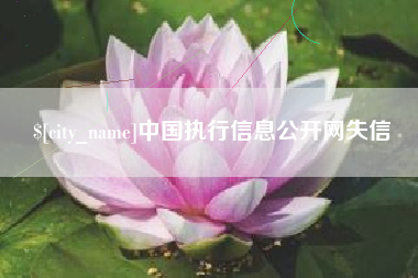 郑州中国执行信息公开网失信