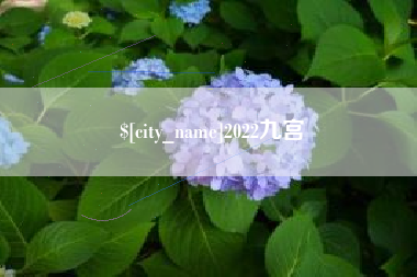 郑州2022九宫